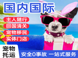 永兴航空托运国际宠物托运 【国